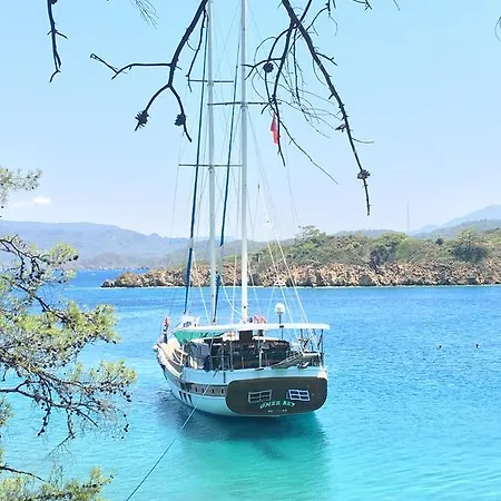 船屋 Omerbey Yacht 博德鲁姆
